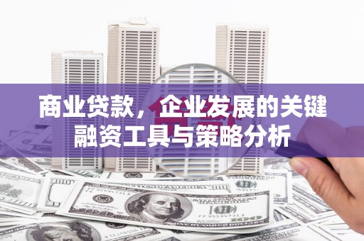 峨眉山商业贷款，企业发展的关键融资工具与策略分析