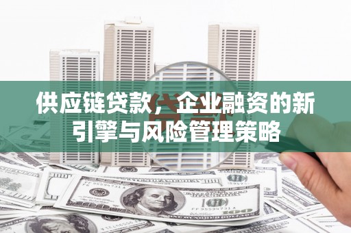 峨眉山供应链贷款，企业融资的新引擎与风险管理策略