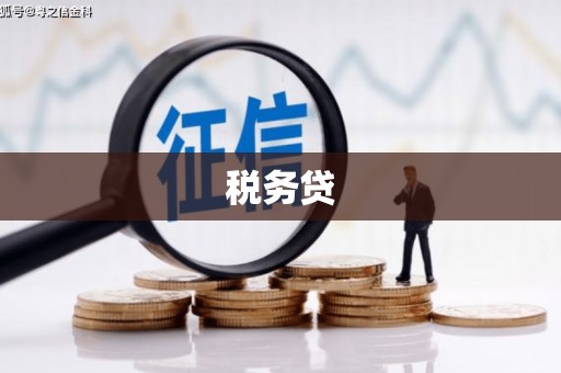 峨眉山税务贷
