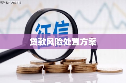 峨眉山贷款风险处置方案
