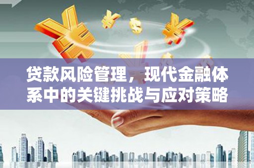 峨眉山贷款风险管理，现代金融体系中的关键挑战与应对策略