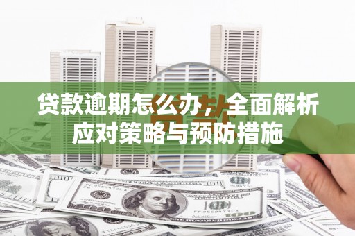 峨眉山贷款逾期怎么办，全面解析应对策略与预防措施