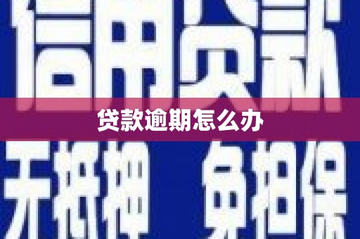 峨眉山贷款逾期怎么办