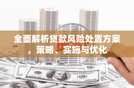 峨眉山全面解析贷款风险处置方案，策略、实施与优化