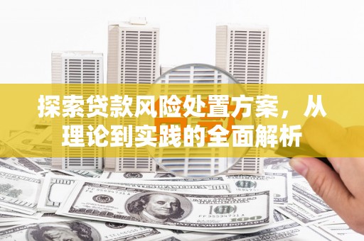 峨眉山探索贷款风险处置方案，从理论到实践的全面解析