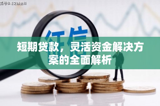 峨眉山短期贷款，灵活资金解决方案的全面解析