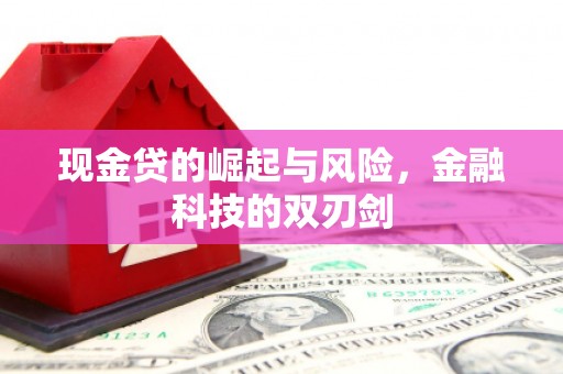 峨眉山现金贷的崛起与风险，金融科技的双刃剑