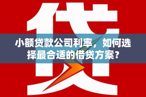 峨眉山小额贷款公司利率，如何选择最合适的借贷方案？