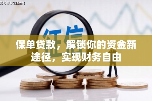 峨眉山保单贷款，解锁你的资金新途径，实现财务自由