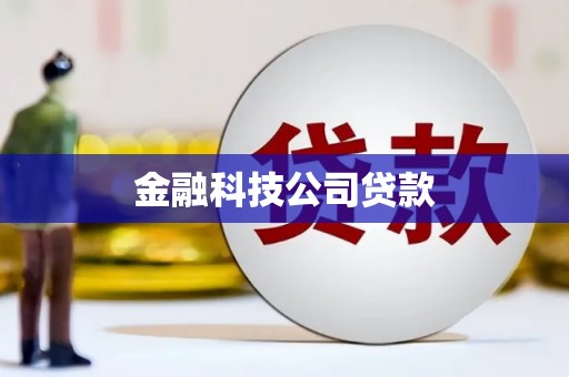 峨眉山金融科技公司贷款