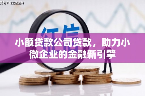 峨眉山小额贷款公司贷款，助力小微企业的金融新引擎