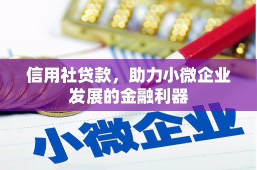 峨眉山信用社贷款，助力小微企业发展的金融利器