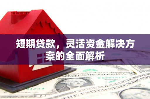 峨眉山短期贷款，灵活资金解决方案的全面解析