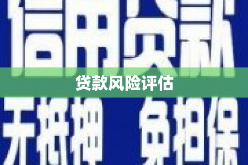 峨眉山贷款风险评估