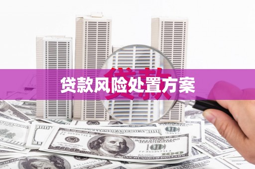 峨眉山贷款风险处置方案