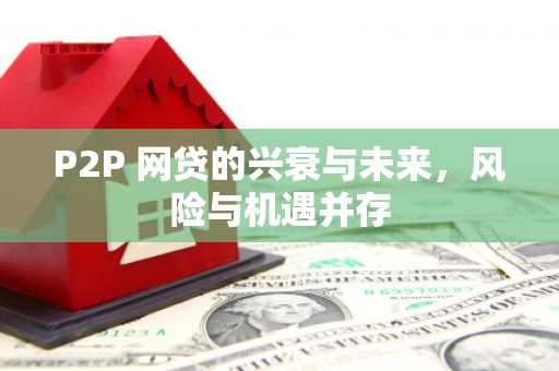 峨眉山P2P 网贷的兴衰与未来，风险与机遇并存